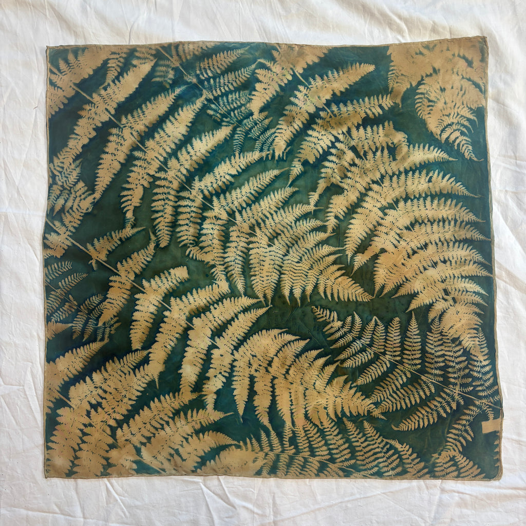 Bracken