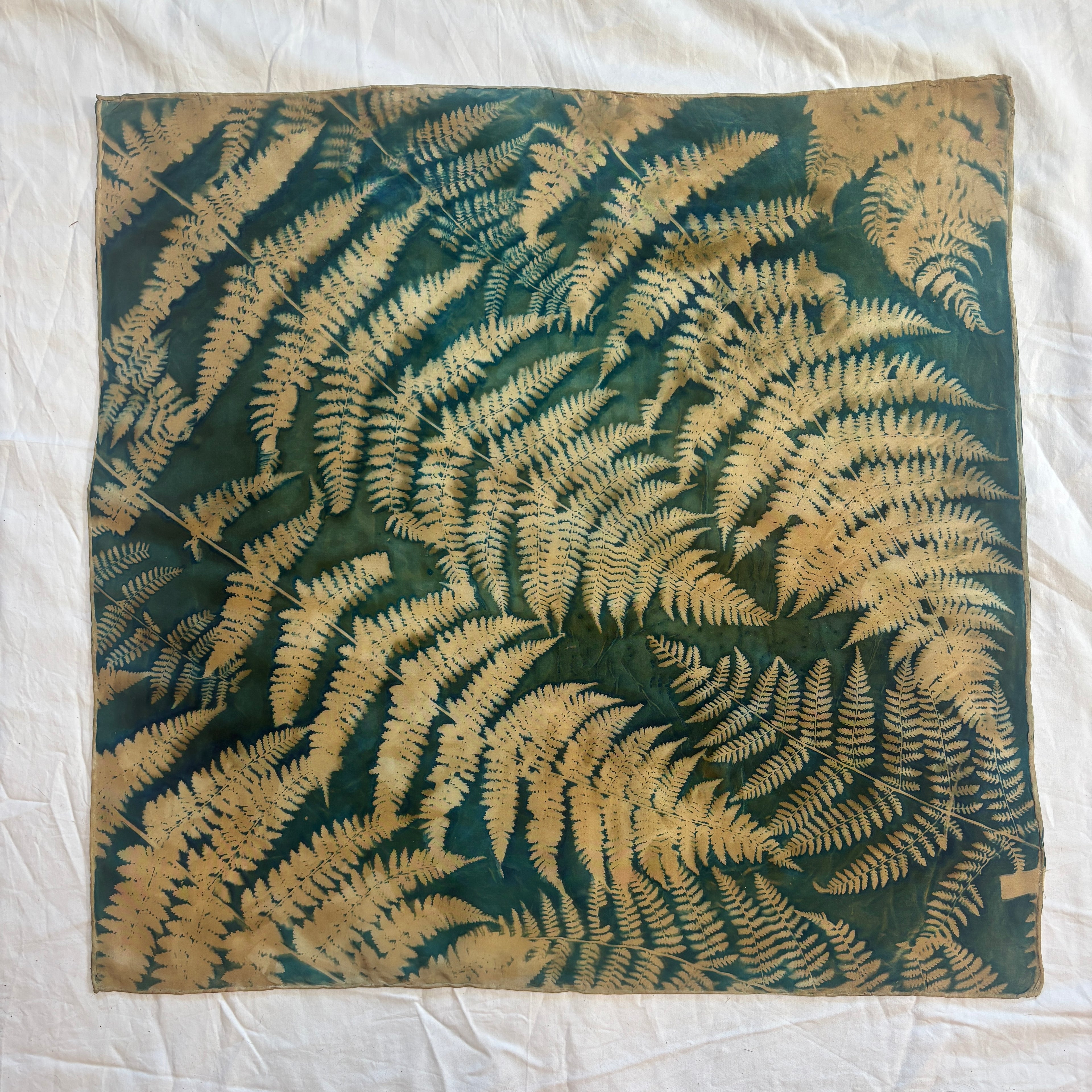 Bracken