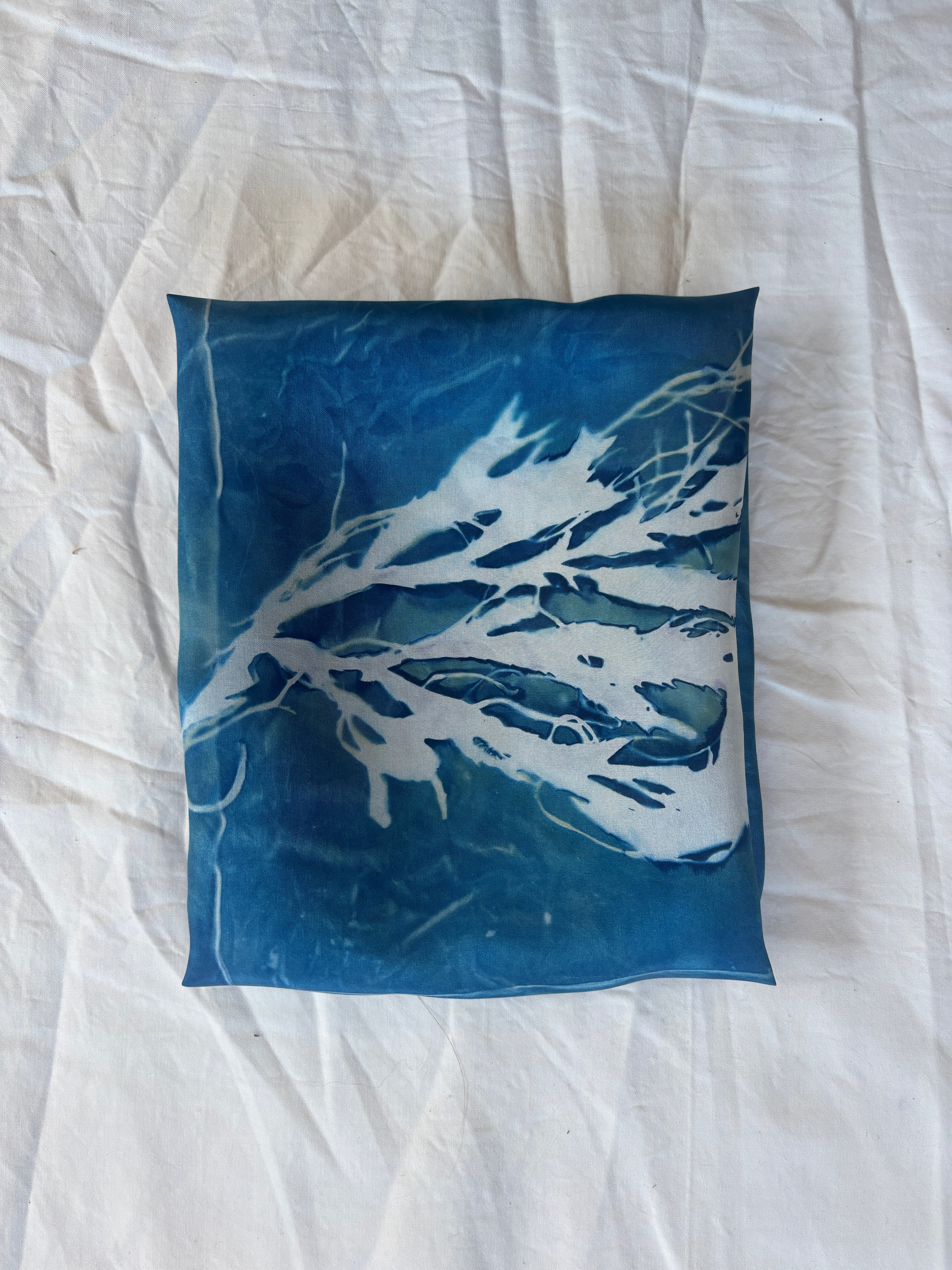 Rockweed