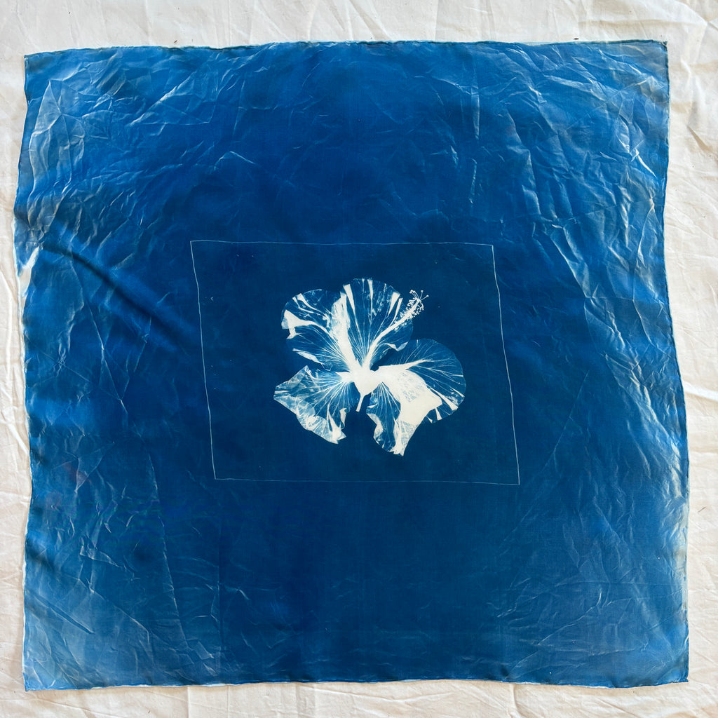 Hibiscus #4