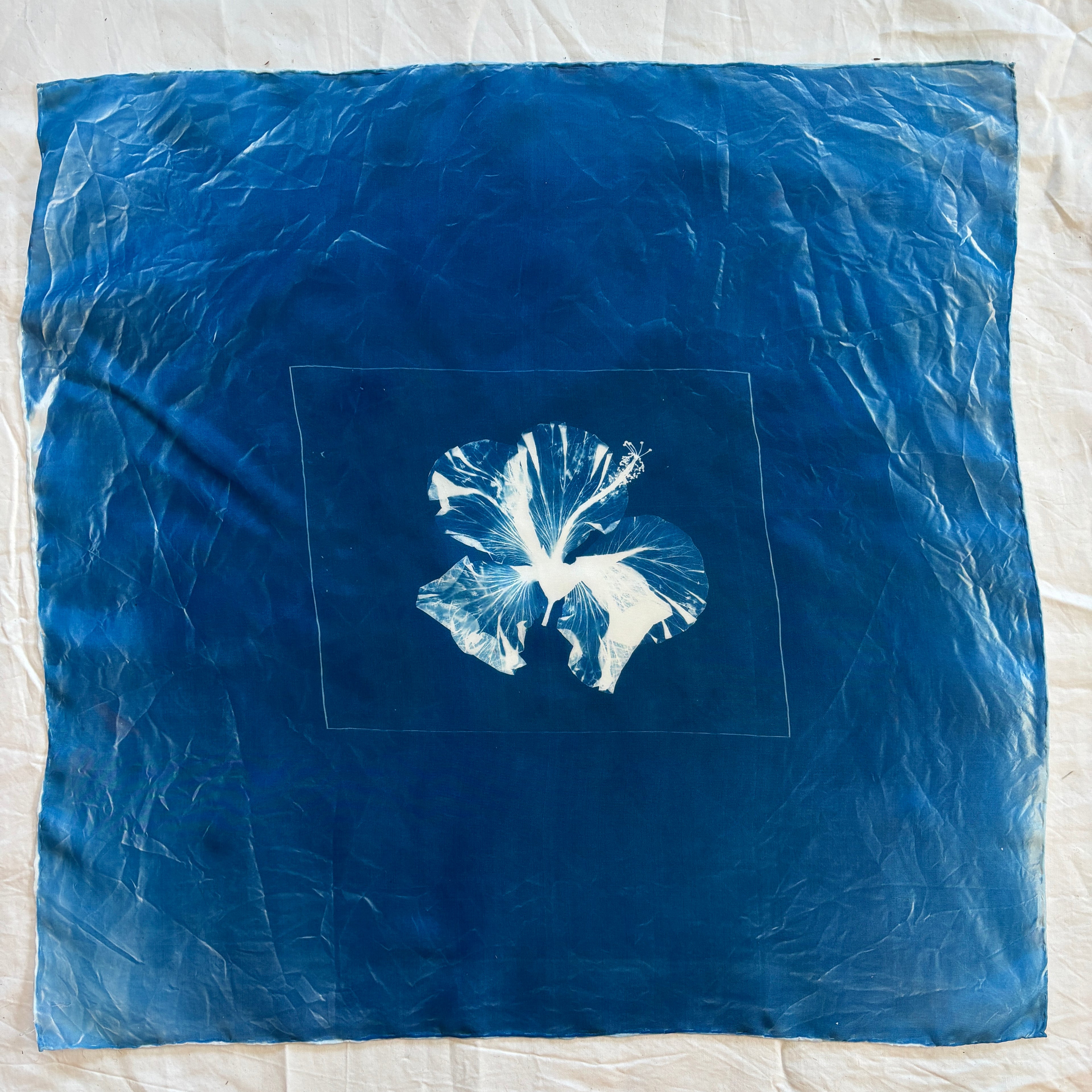 Hibiscus #4