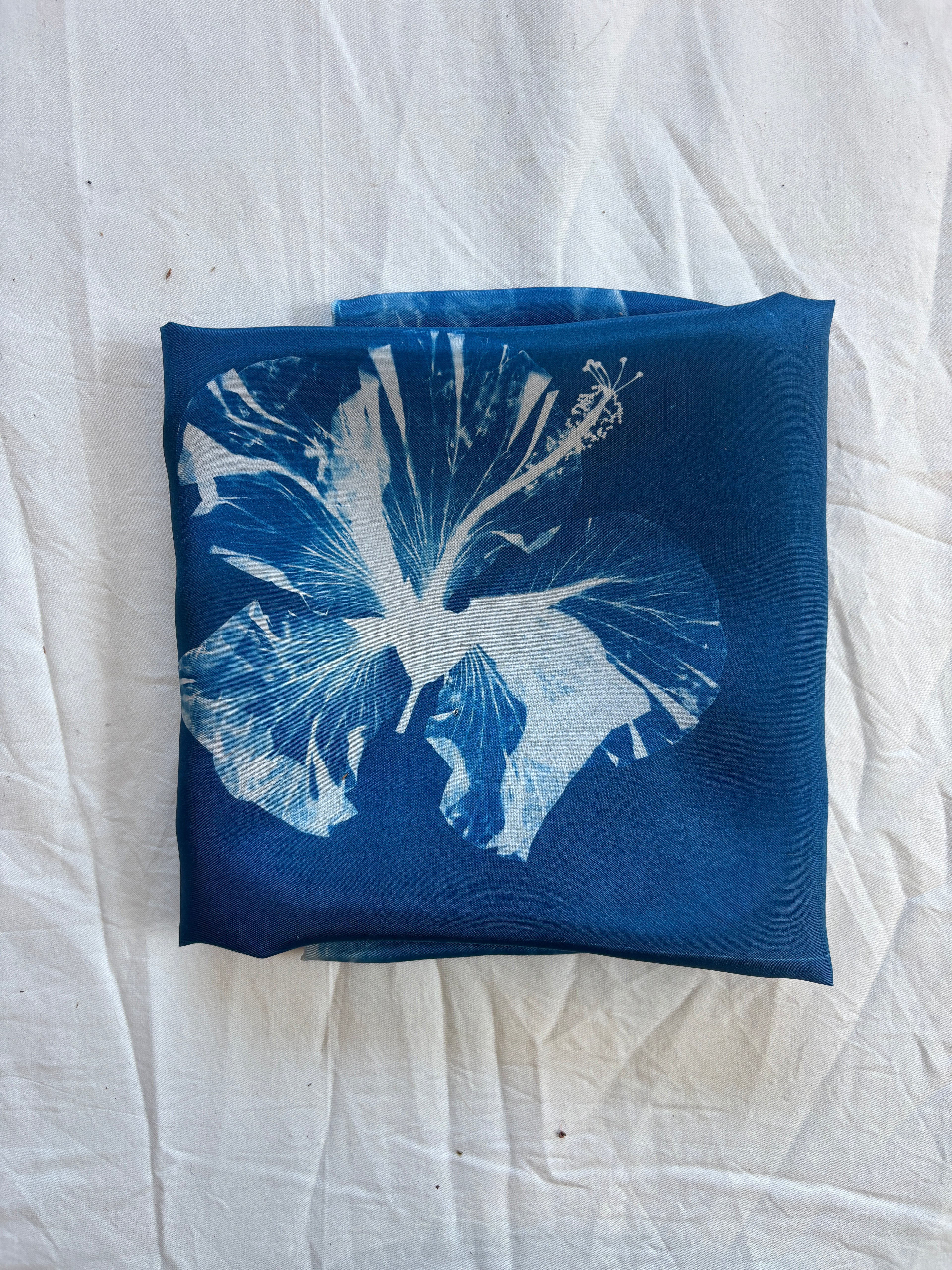 Hibiscus #4