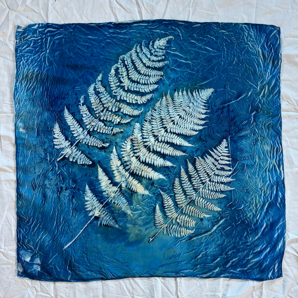 Three Ferns
