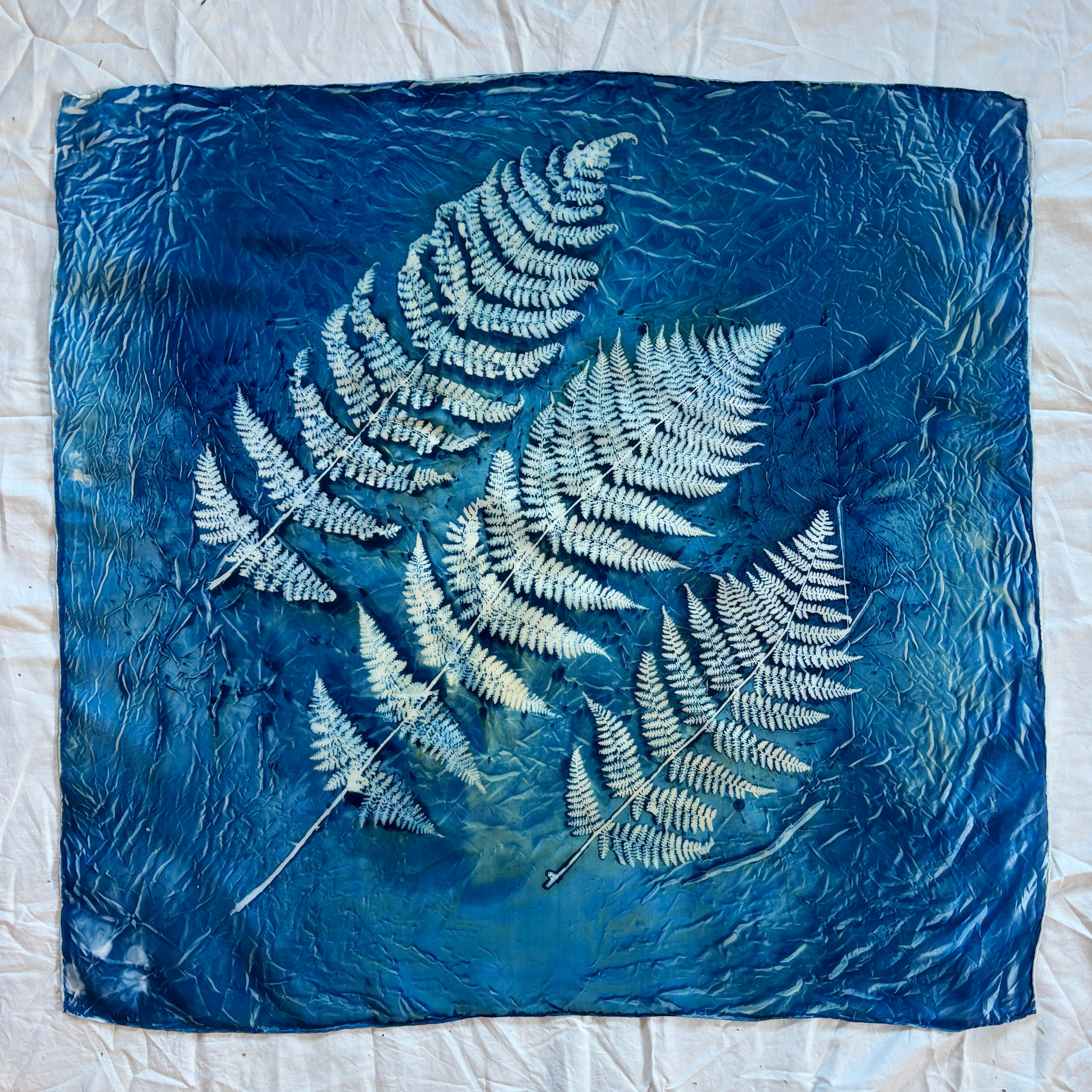 Three Ferns