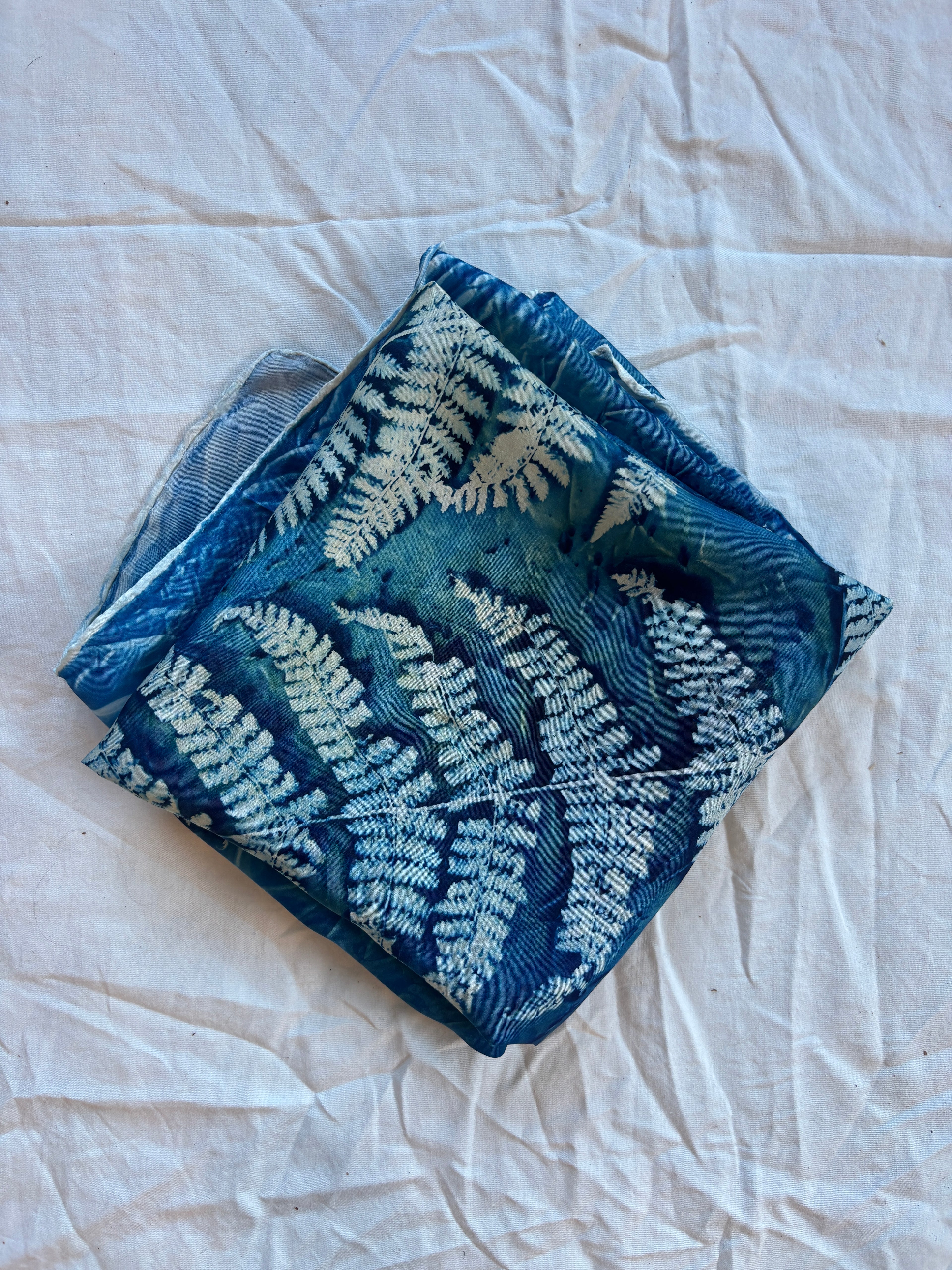 Three Ferns