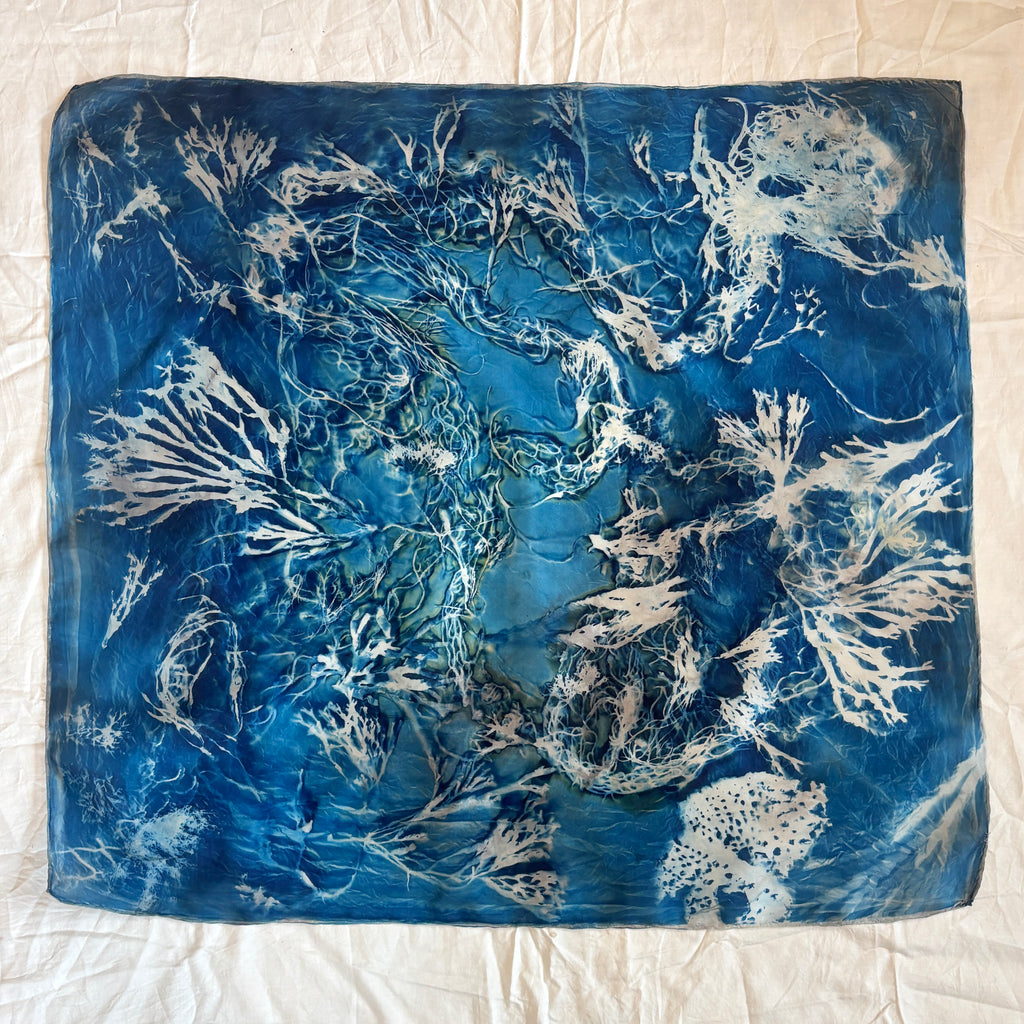 Seabed