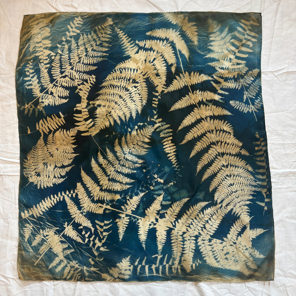 Forest Shadows
