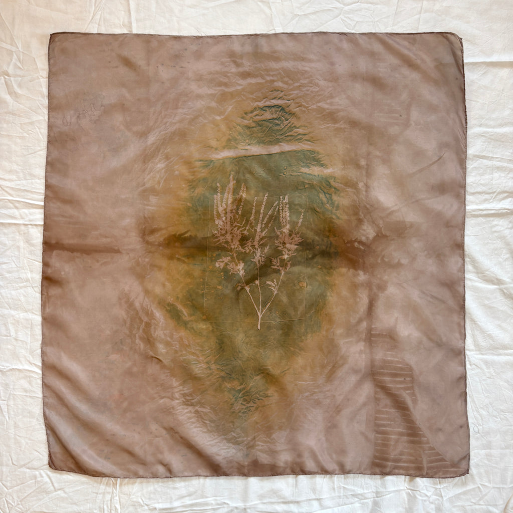 Ambrosia Artemisiifolia