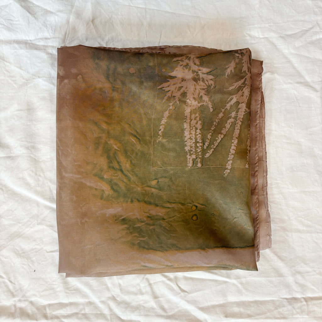 Ambrosia Artemisiifolia