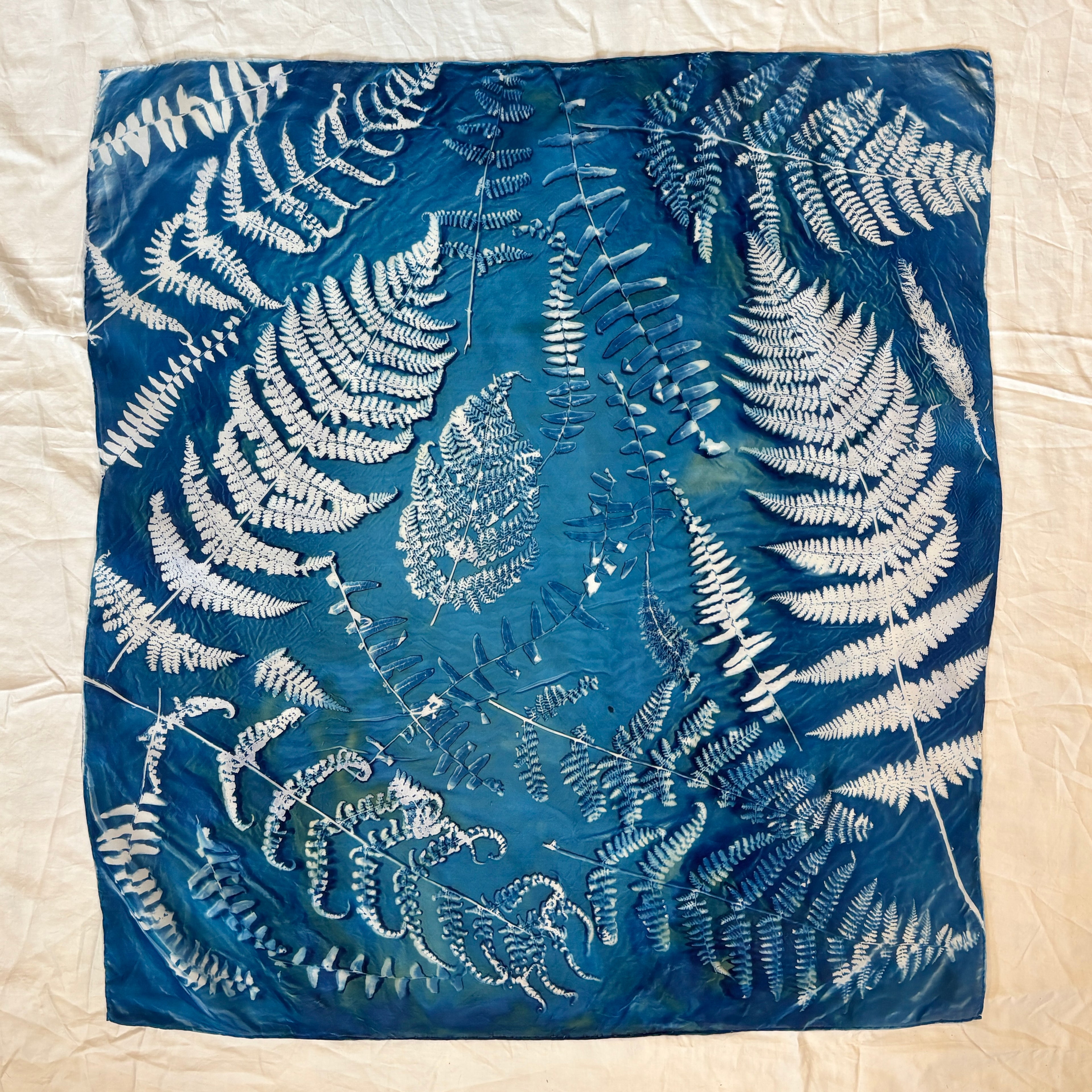 Pure Ferns